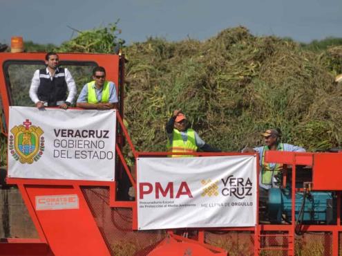 Inicia PMA limpieza de cuerpos de agua en el sur de Veracruz