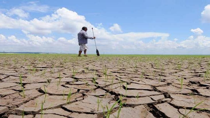 Más  municipios presentan sequía en Veracruz; ya son 78