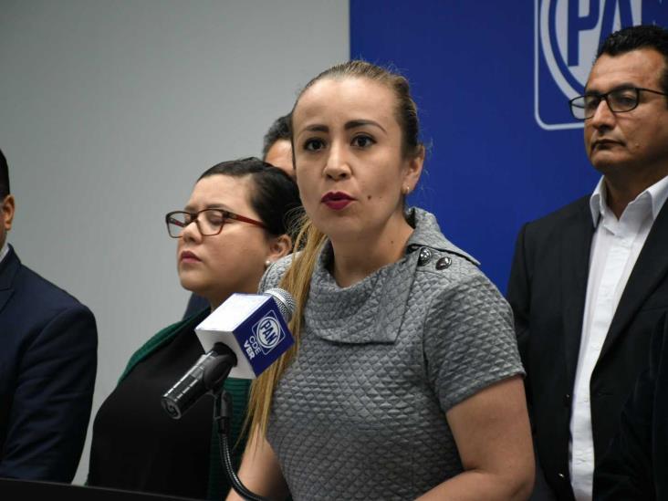 Urge que IVM tenga directora: PAN