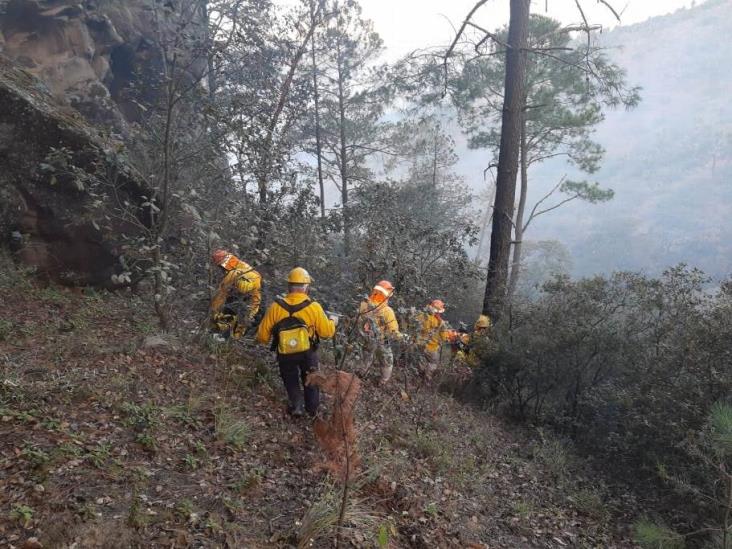 Reportan 100% de control y 70% de liquidación de incendio en La Gloria