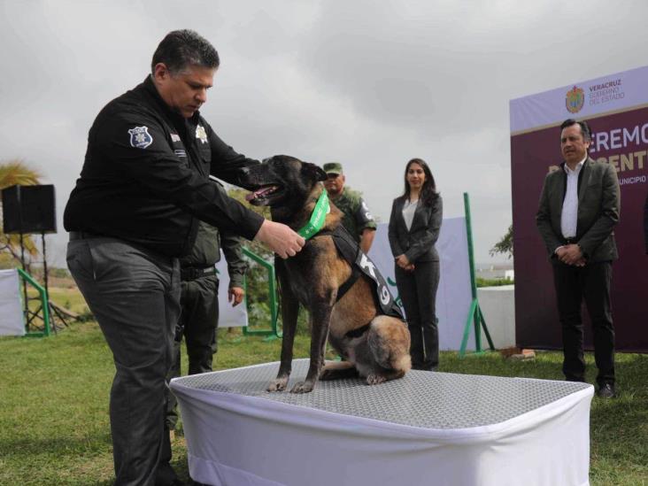 Con honores, retira Fuerza Civil al agente canino ‘Gadafi’ tras 8 años de servicio