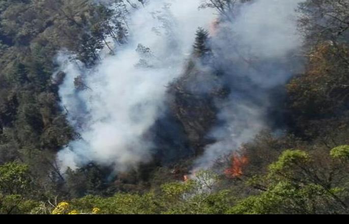 Talamontes habrían causado incendio en el Pico de Orizaba