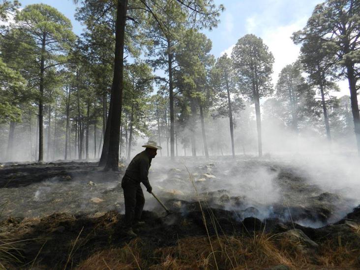 Talamontes habrían causado incendio en el Pico de Orizaba