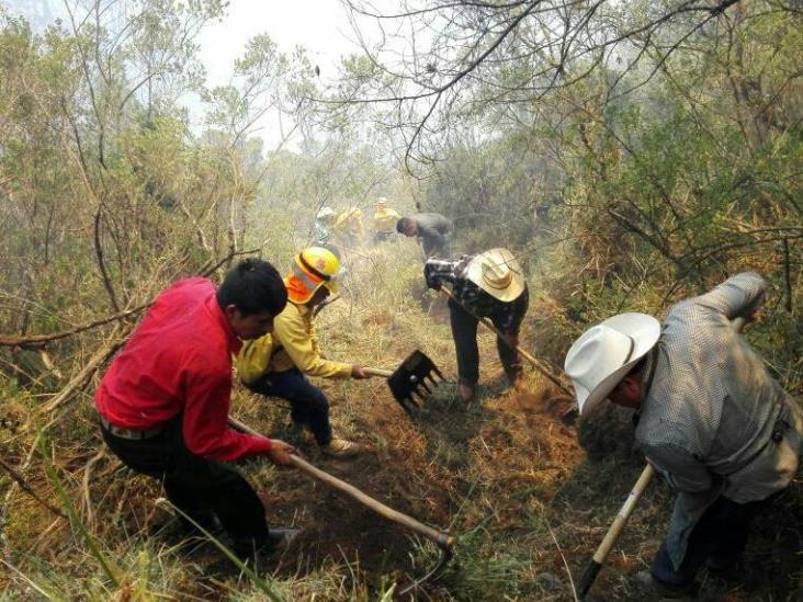 Talamontes habrían causado incendio en el Pico de Orizaba