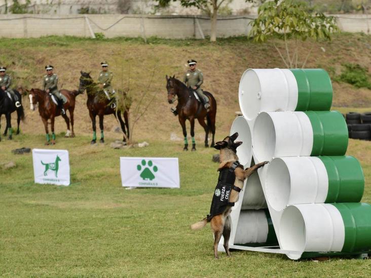 Con honores, retira Fuerza Civil al agente canino ‘Gadafi’ tras 8 años de servicio