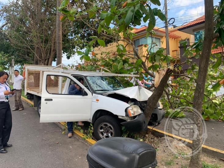 Camioneta se impacta con árbol; deja solo daños materiales