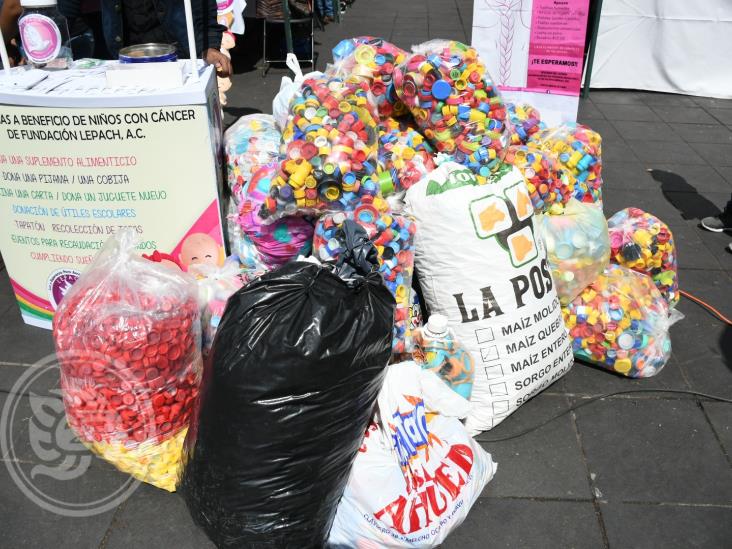 Realizan ‘Trenzatón’ en Xalapa; colectan apoyos para menores del Cecan