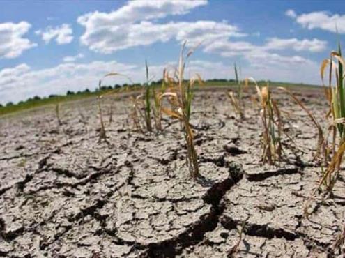 Implementa Sader acciones para contrarrestar sequía en México