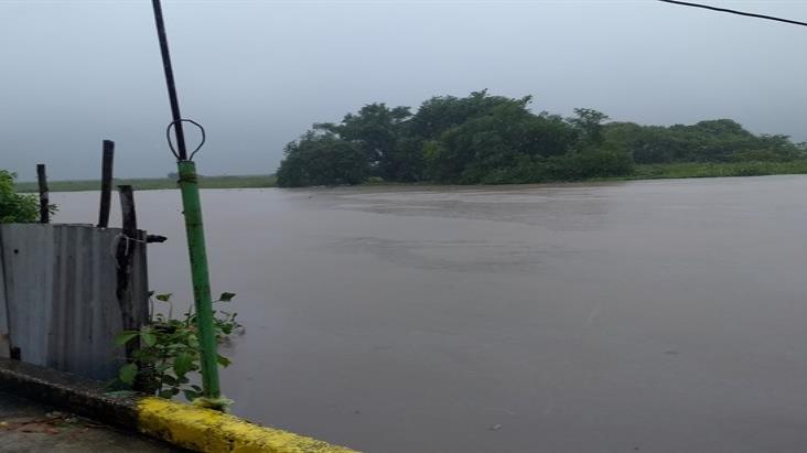 En río envenenado en Veracruz sobreviven peces y reptiles