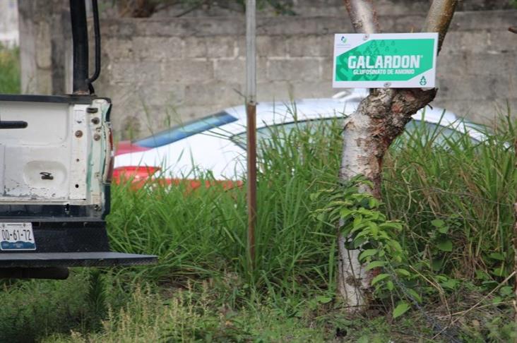 Secuestran a conductora de taxi en Martínez de la Torre