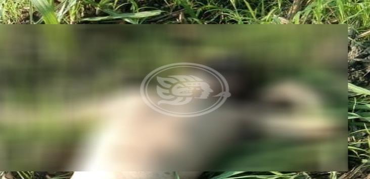 Hallan cuerpo de hombre semidesnudo en Misantla