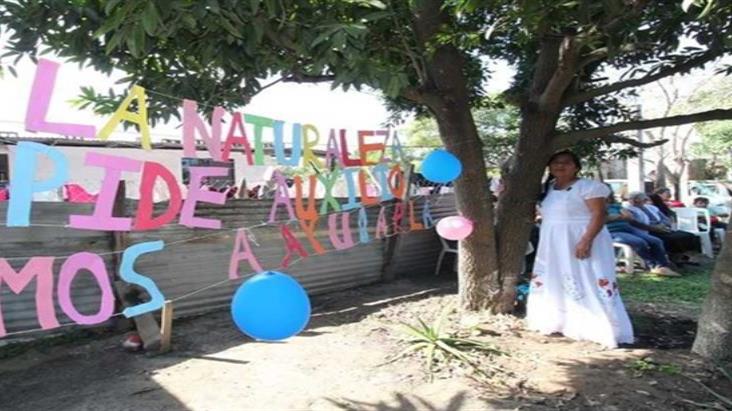 Mujer se casa... con árbol en el norte de Veracruz