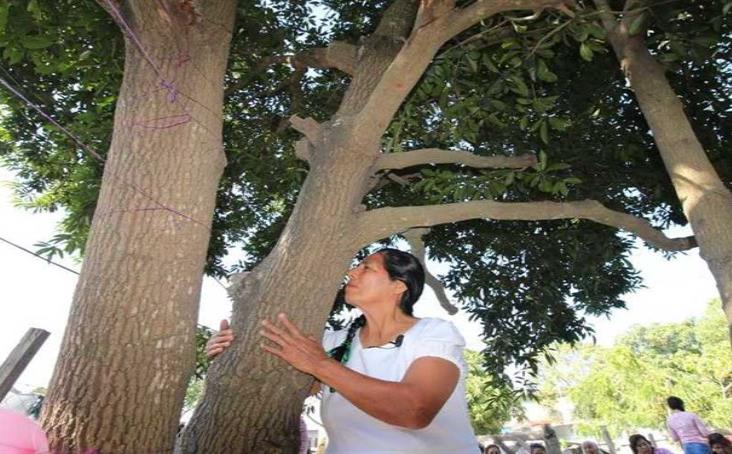 Mujer se casa... con árbol en el norte de Veracruz