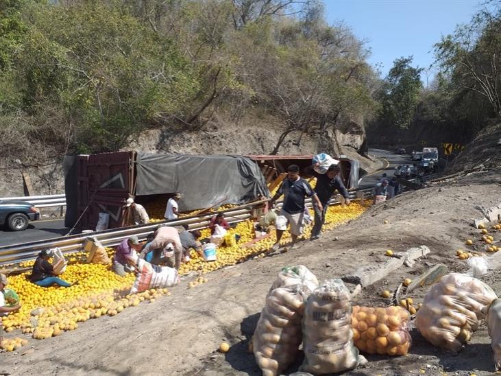 Vuelca tráiler con cítricos en la Veracruz-Córdoba; se desata rapiña