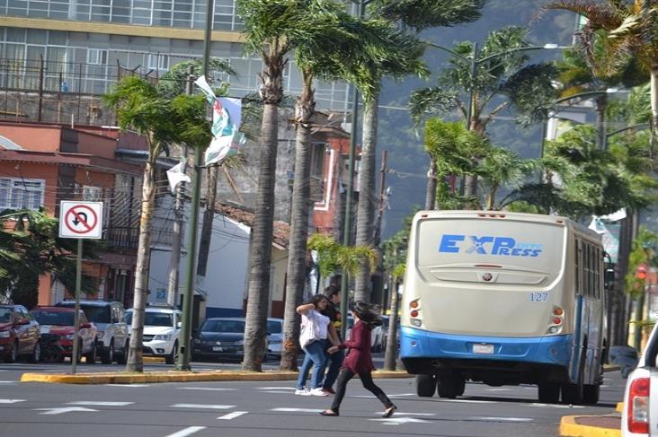 Deja surada daños en calles y casas de Orizaba