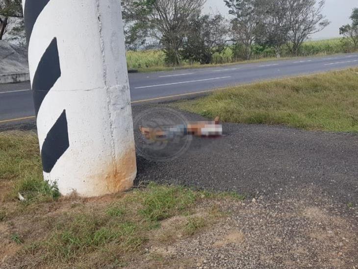 Dejan cuerpo en autopista La Tinaja-Cosoleacaque