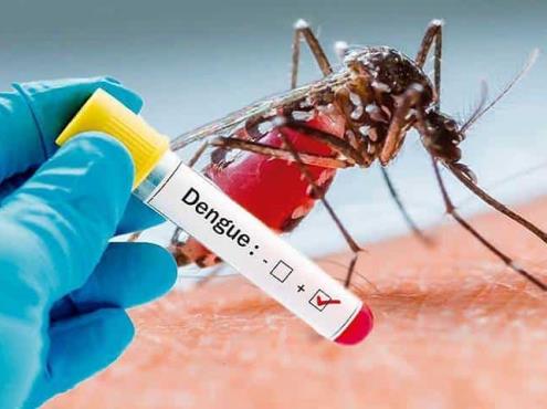 Veracruz se ubica como el estado líder en casos de dengue desde 2019