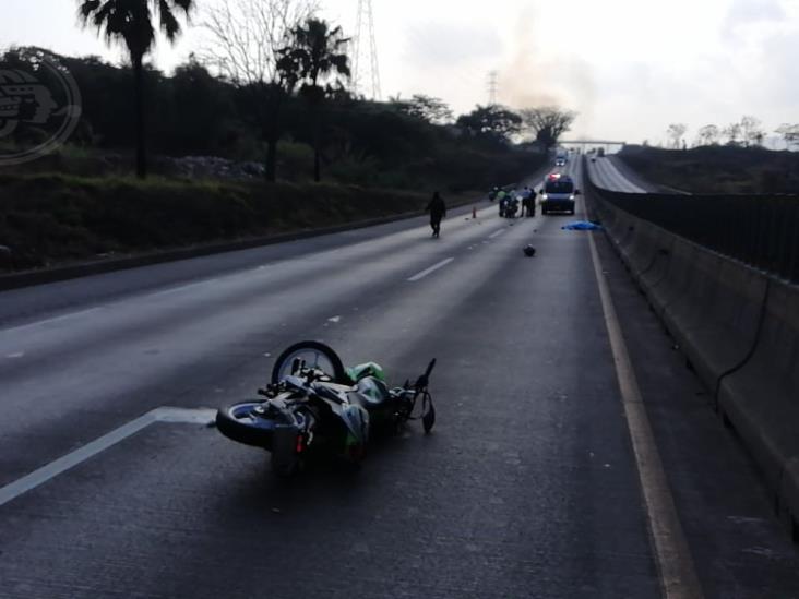 Muere motociclista en la autopista Córdoba-Veracruz