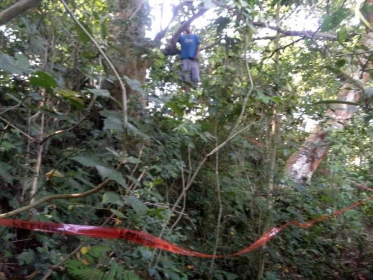En Misantla, hallan cuerpo de joven colgado de un árbol
