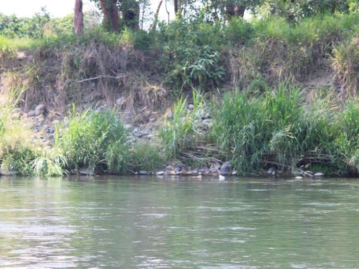 Hallan cuerpo de un hombre flotando en Río Bobos