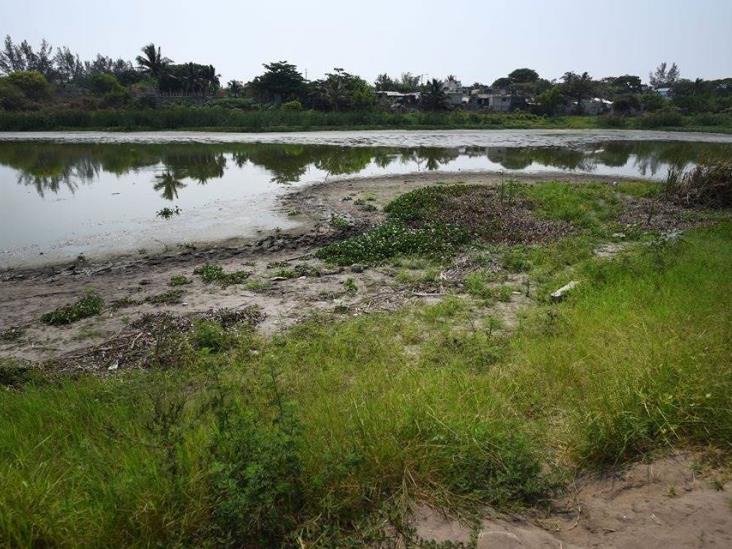 Laguna de Tarimoya en Veracruz se incendia