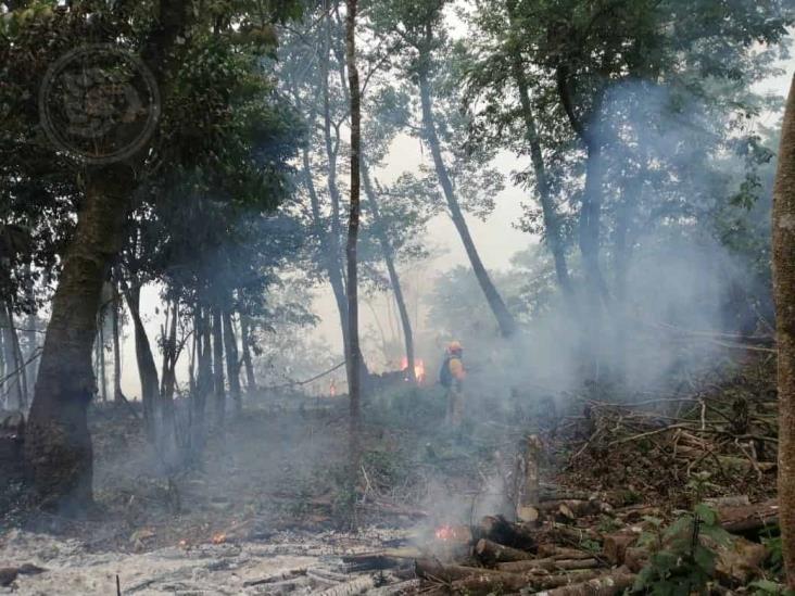 De enero a marzo de 2021, 73 incendios forestales en Veracruz