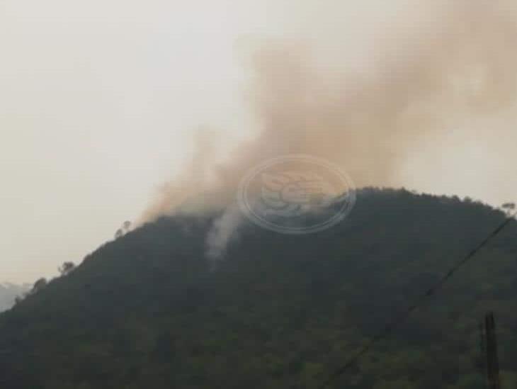 Continúan labores contra incendio en San Andrés Tenejapan
