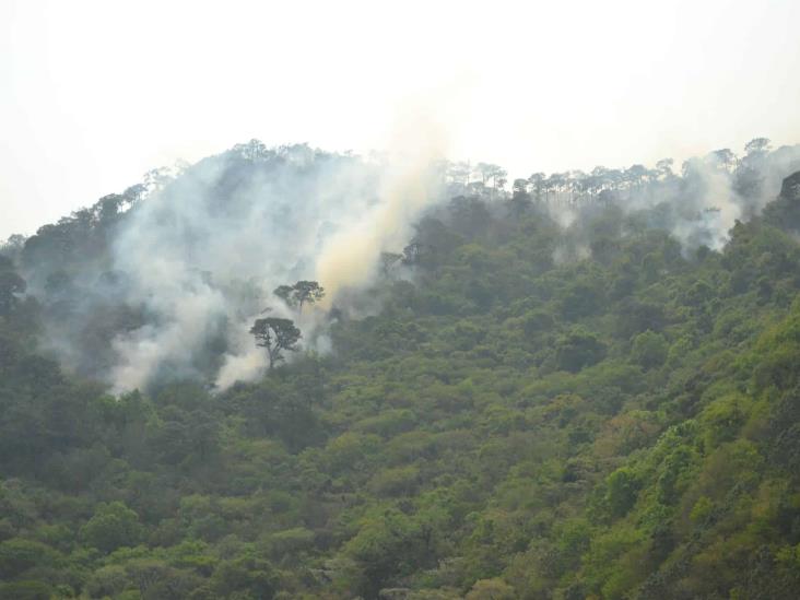Continúan labores contra incendio en San Andrés Tenejapan