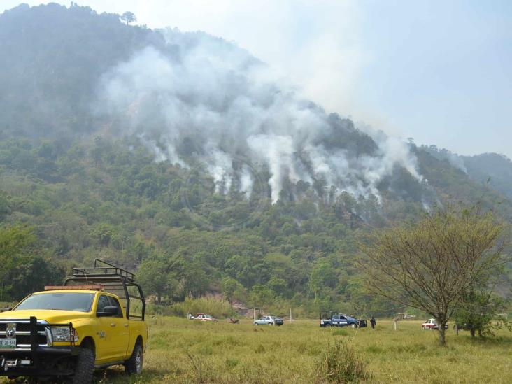 Logran apagar incendio en cerros de Rafael Delgado