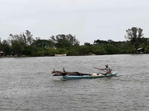 Sector pesquero en Veracruz enfrenta pandemia y baja producción