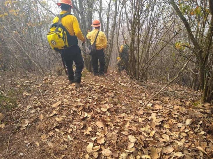 Incendio con afectaciones de casi 60 hectáreas en Acultzingo