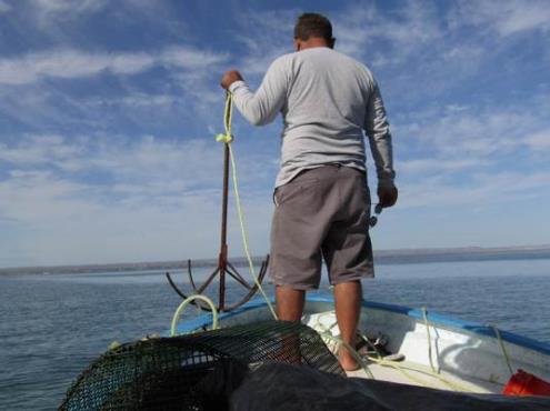 Continúan pidiendo pescadores apoyo a gobierno tras ser afectados por pandemia