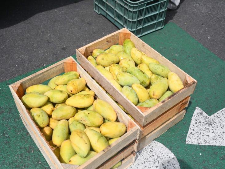 Pandemia pega a productores de mango de Veracruz