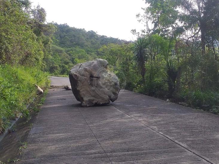 Por lluvias, reportan caída de rocas en carretera de Córdoba