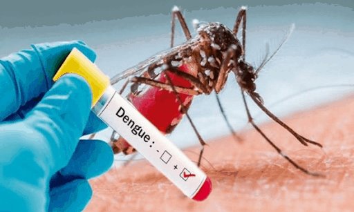 Se mantiene Veracruz en primer lugar nacional en casos de dengue