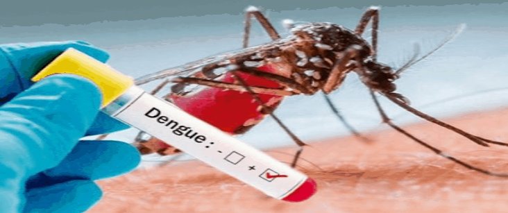 Veracruz se mantiene a la cabeza en casos de dengue