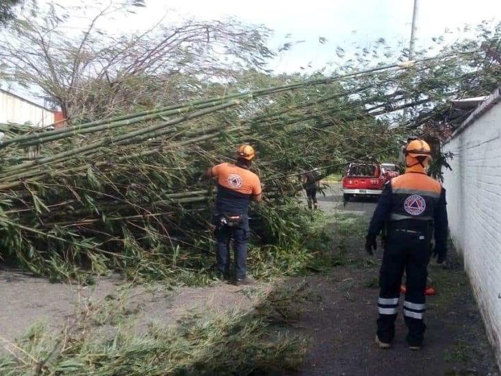 Se alista Protección Civil de Ixtaczoquitlán para temporada de ciclones