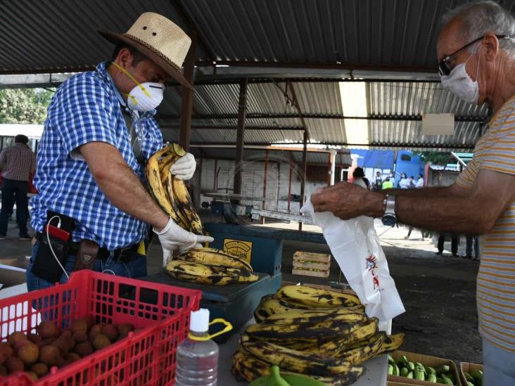 Impulsan mercado interno para vainilla, plátano, mango y litchi en Veracruz