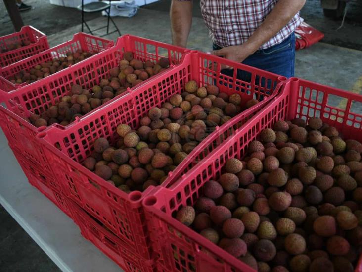 Impulsan mercado interno para vainilla, plátano, mango y litchi en Veracruz