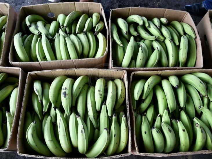 Plátanos veracruzanos son consumidos hasta en China