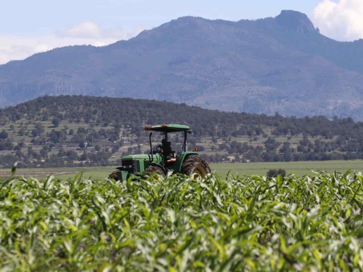 Van por blindaje financiero para agro de Veracruz ante riesgos climáticos