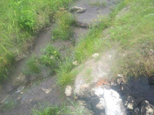 Denuncian a empresas por contaminar ríos en Papantla