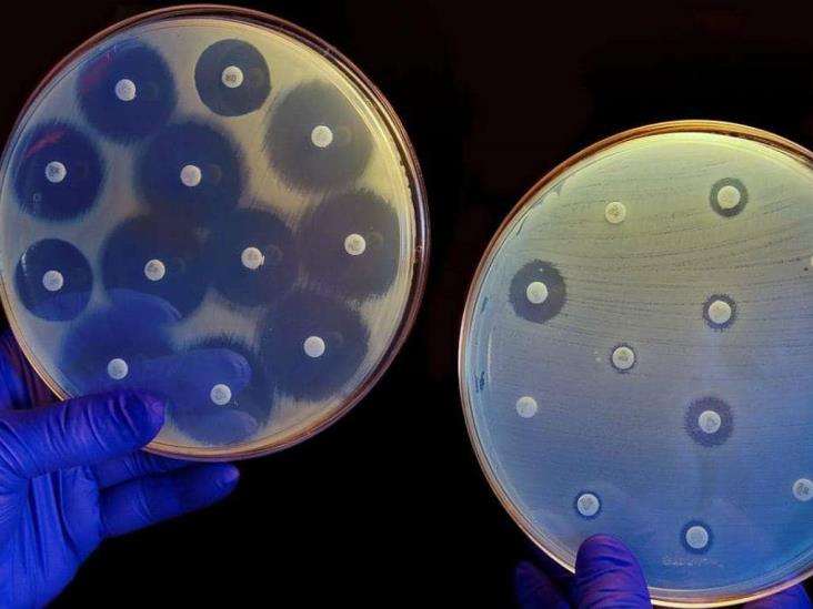 Bacterias muestran resistencia a antibióticos en diversos países: OMS