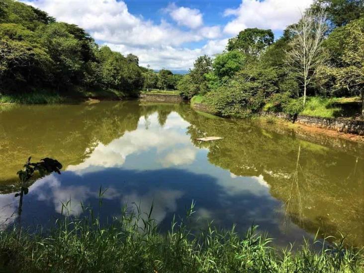 Rastrean en ex asilo de ancianos y Parque Natura 'cementerio clandestino'  en Veracruz