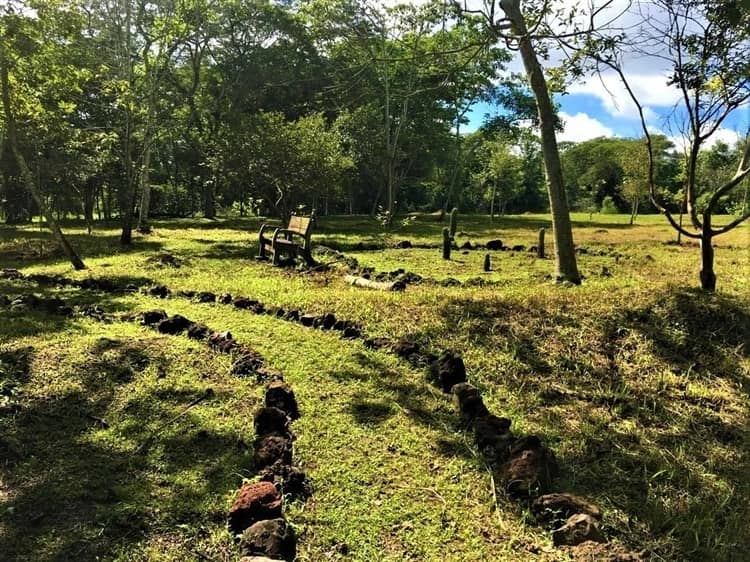 Rastrean en ex asilo de ancianos y Parque Natura 'cementerio clandestino'  en Veracruz