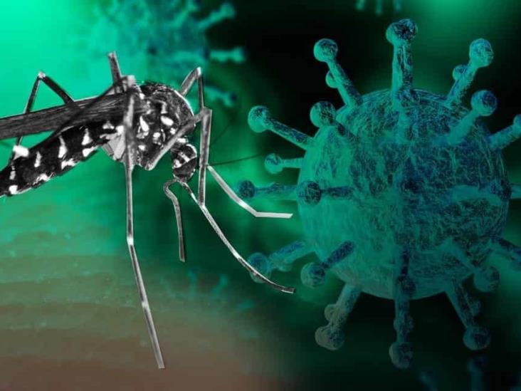 Recomendaciones para prevenir  el dengue