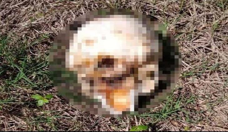 Habrían encontrado cráneo de taxista decapitado en Acayucan