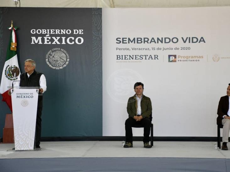 En Veracruz, más de 68 mil empleos gracias a Sembrando Vida: AMLO