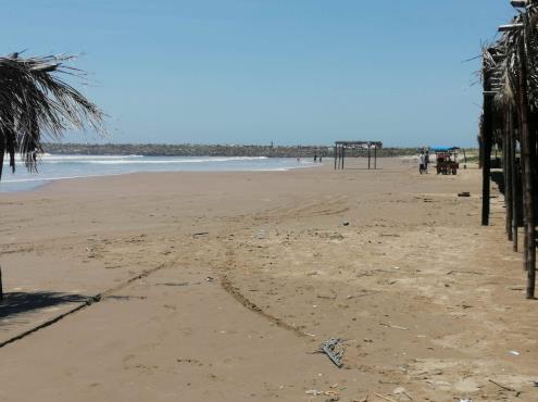 Apertura de playas en Tuxpan no contribuye a reactivación económica, señalan