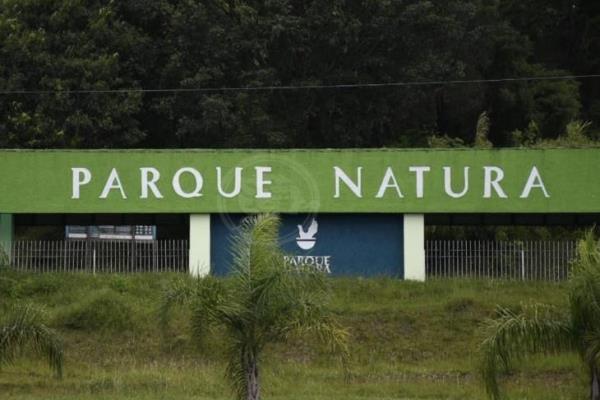 ¡No te lo pierdas! Este sábado, divertidas actividades en el parque Natura  de Xalapa